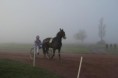 /album/bandit-du-coudou/img-7419-jpg/