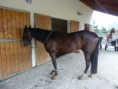 /album/travail-du-13-03-15/p1040557-jpg/