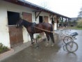 /album/travail-du-13-03-15/p1040560-jpg/