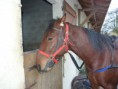 /album/travail-du-13-03-15/p1040561-jpg/