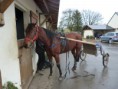 /album/travail-du-13-03-15/p1040562-jpg/