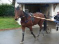 /album/travail-du-13-03-15/p1040563-jpg/
