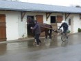 /album/travail-du-13-03-15/p1040564-jpg/