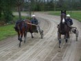 /album/travail-du-13-03-15/p1040566-jpg/