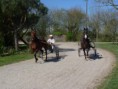 /album/travail-du-09-04-2015/p1040609-jpg/