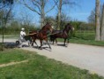 /album/travail-du-09-04-2015/p1040613-jpg/