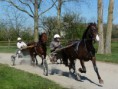 /album/travail-du-09-04-2015/p1040615-jpg1/