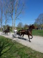 /album/travail-du-09-04-2015/p1040618-jpg/