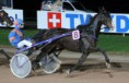/album/laval-19-11-2016/a15167617-1647572211935035-6623562258610326785-o-jpg/