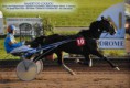 /album/galerie-de-photos-nos-chevaux/a002-jpg/