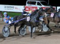 /album/galerie-de-photos-nos-chevaux/banditlaval-jpg1/